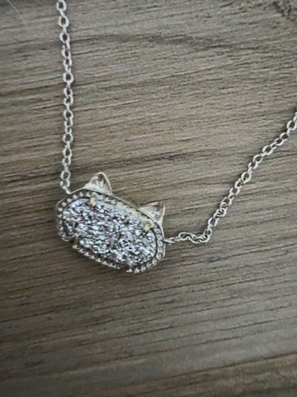 Kendra Scott Silver Cat Necklace - Picture 2 of 3